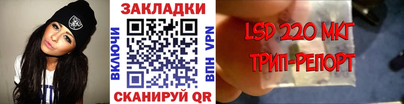 Меф Шенкурск