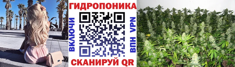 Канабис Bruce Banner Шенкурск